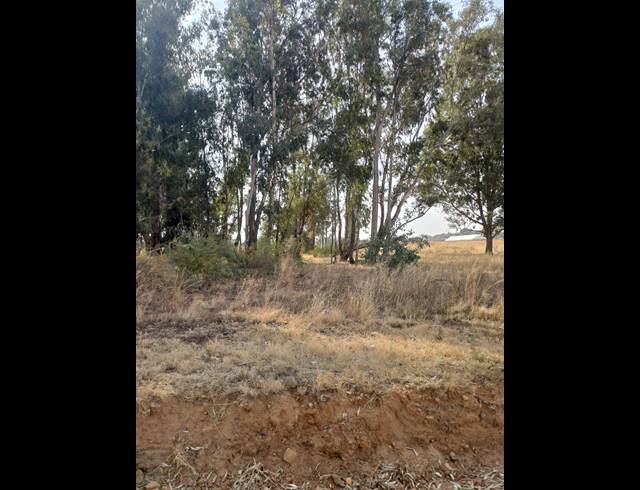 16HA VACANT LAND FOR SALE IN WALKER FRUIT FARMS